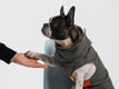 dressmepup