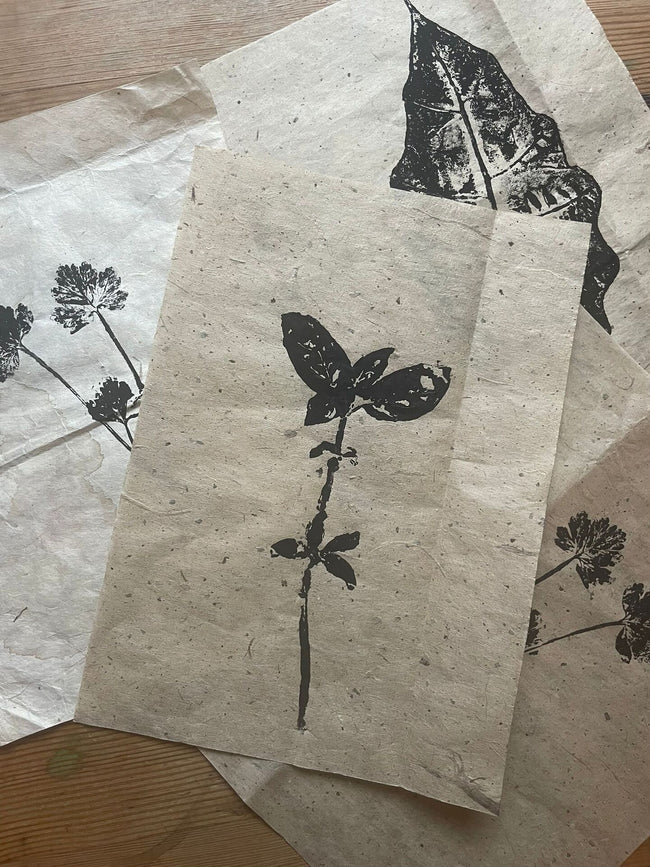 Atelier de monoprint botanic pe hârtie manuală