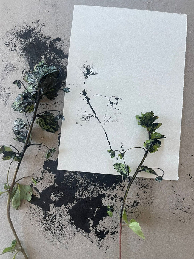 Atelier de monoprint botanic pe hârtie manuală