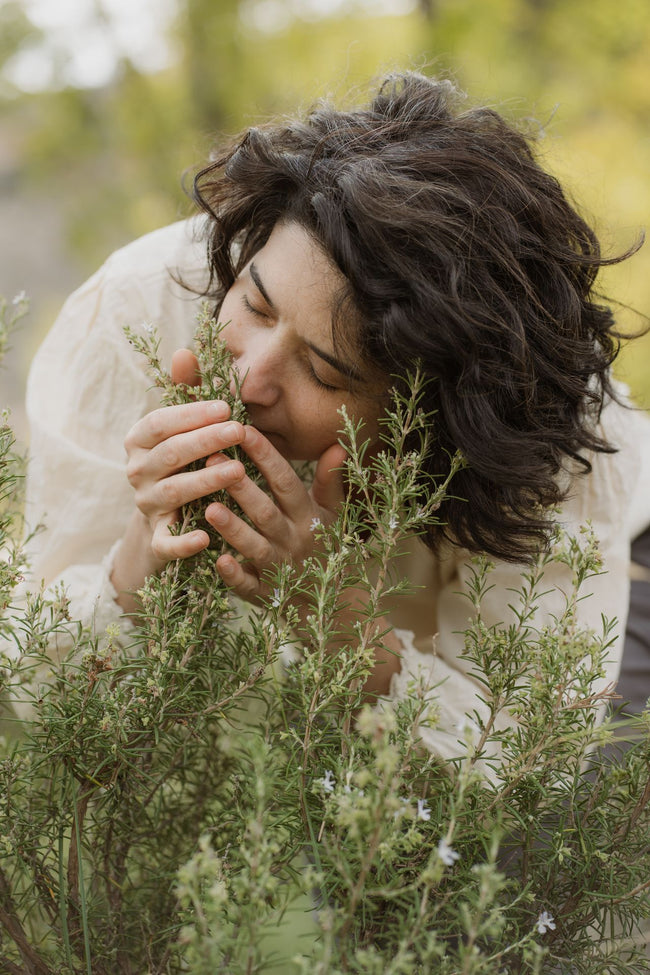 Atelier de creat ulei repelent pentru insecte