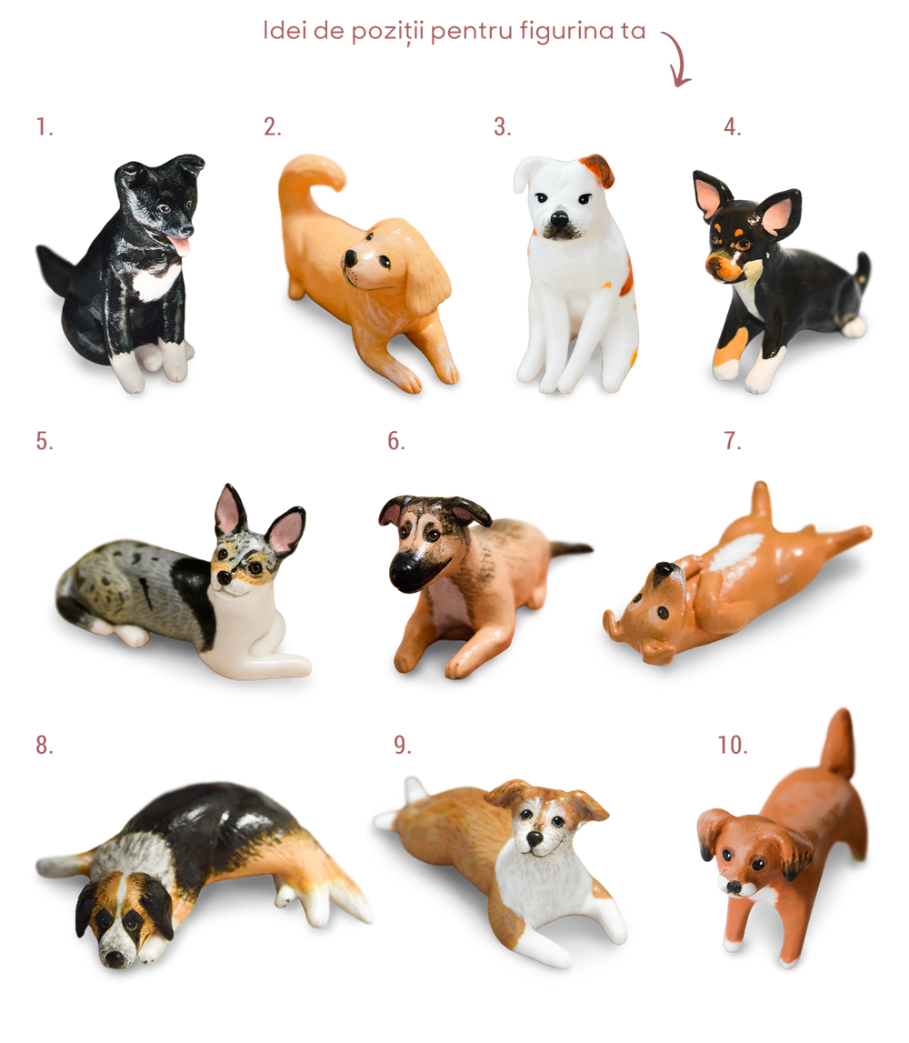 Figurină personalizată cățel - pawpaw studio | IARMAROC.com